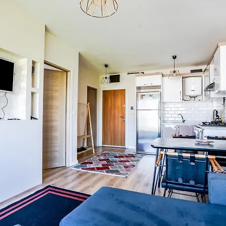 Apartment Stylish And Cozy In Tuzla Istanbul